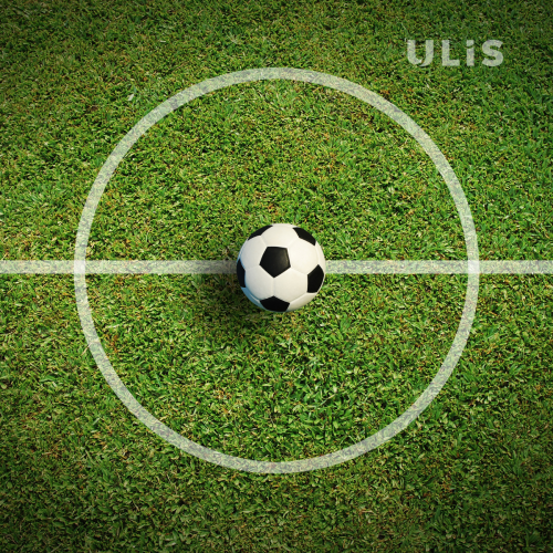 ULIS supports investigation leading to 19 arrests